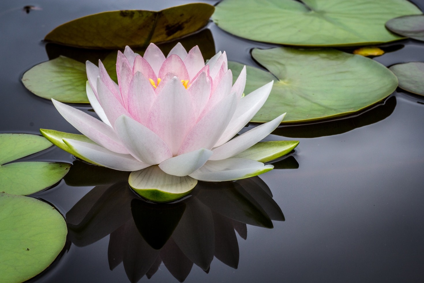 Featured Image 6